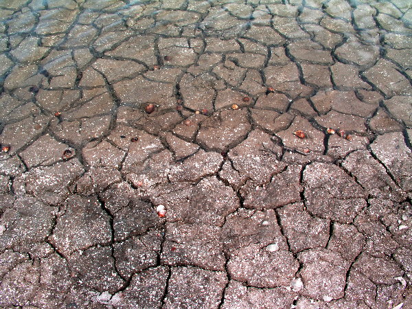 Lake Bed - 6