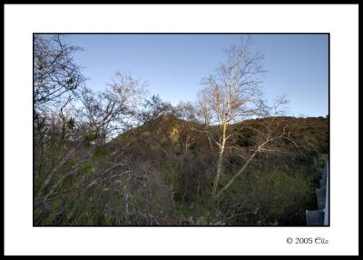 u42/cdrebel/medium/39742125.twilightsm.jpg