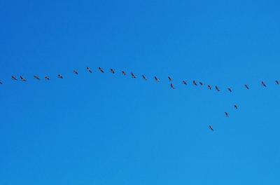 9-23-04Flying South