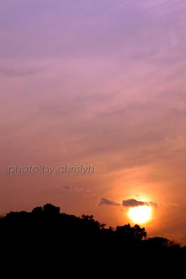 Sunset (2) 鸨