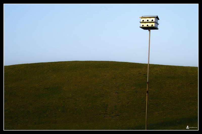 Bird House