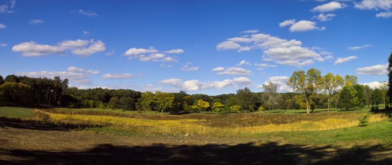 Autumn Pano