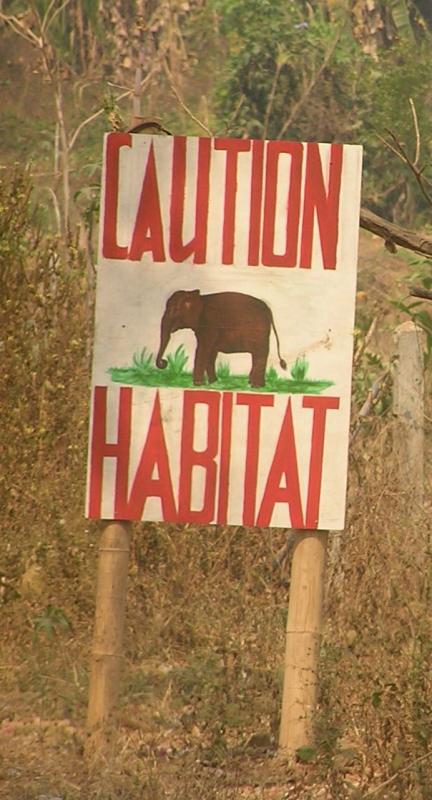 Elephant Nature Camp