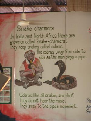 snake charmers