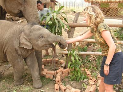 M feeding a baby elephant