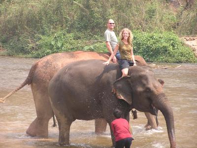 couple shot on elephants