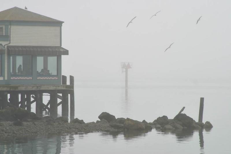 Bodega Bay, California