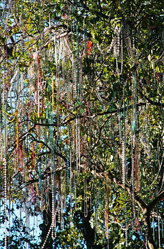 Jewels hanging from trees?