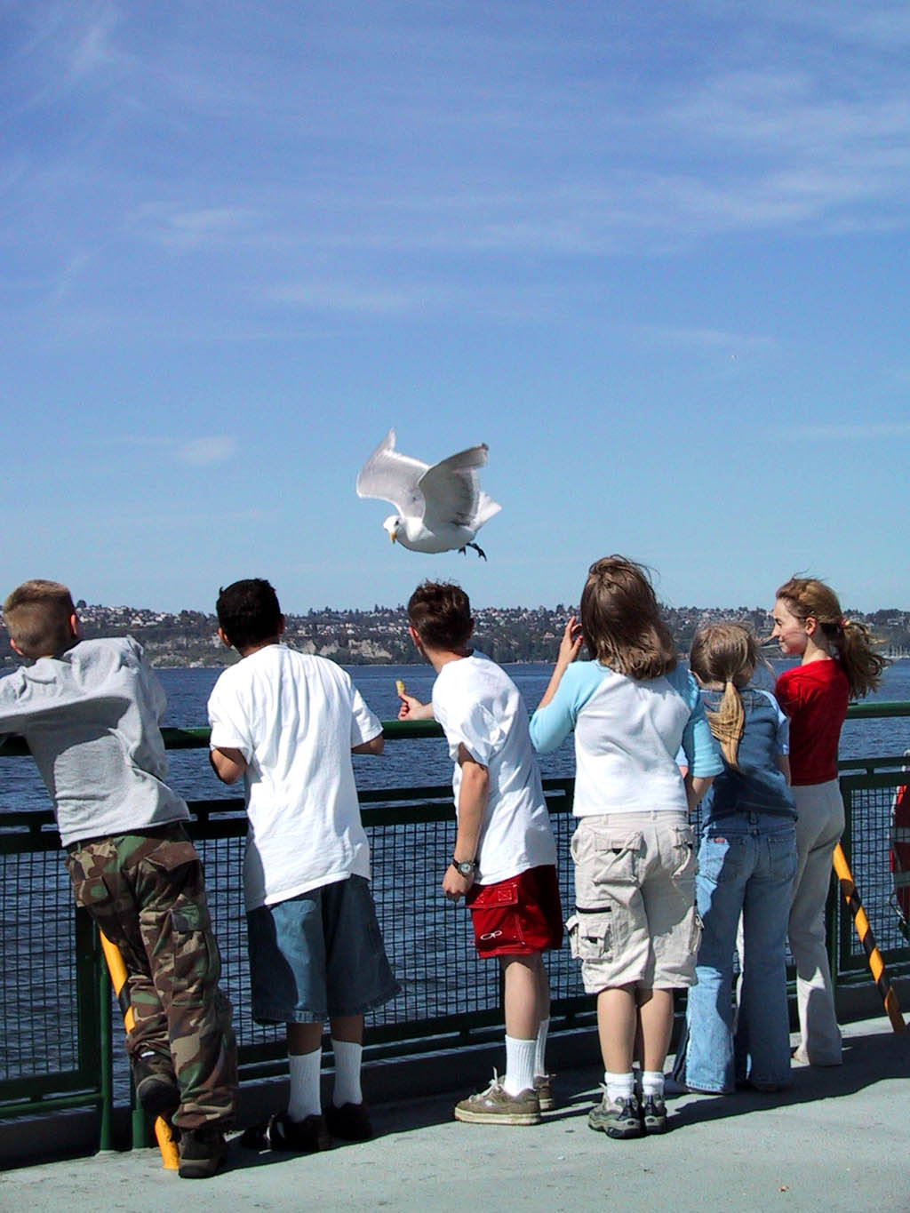 Seattle ferry