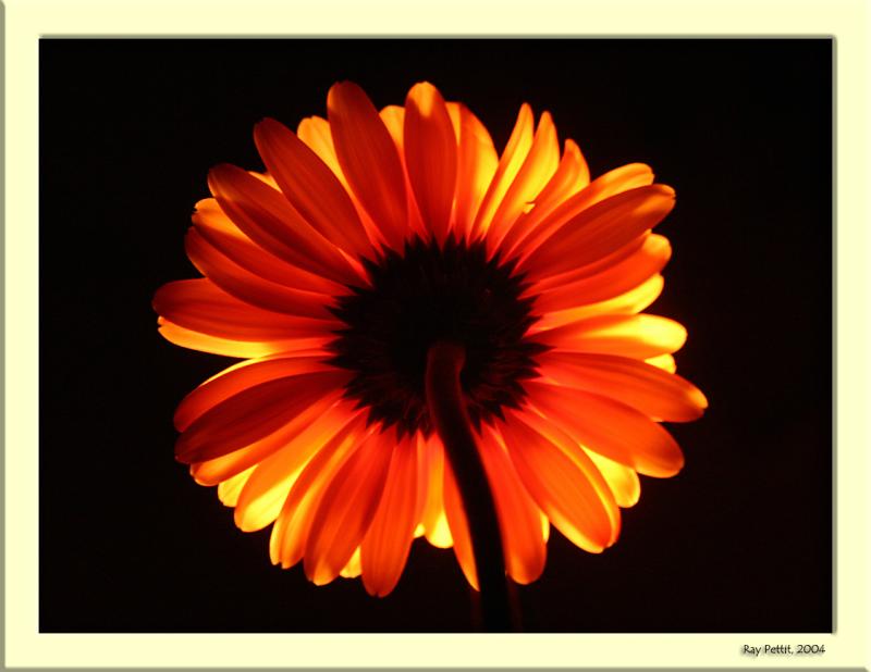 March 28 2004:<br> Illuminating