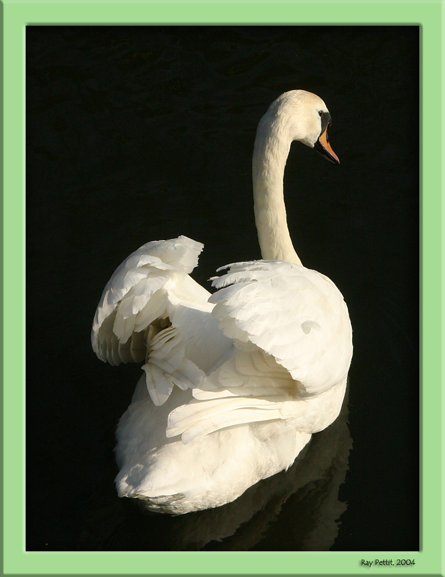 March 30 2004:<br> Serenity