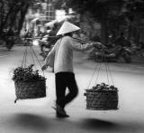 Friut seller, Hanoi