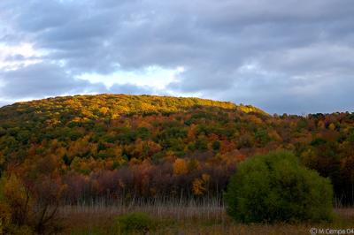 appalachian glow