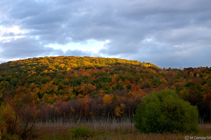 appalachian glow