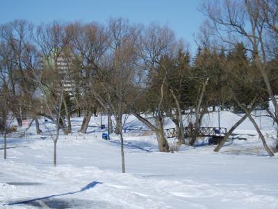 Pedesrian Bridge in NewMarket at Fairy Lake -2004-02-22.JPG