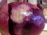 purple onion