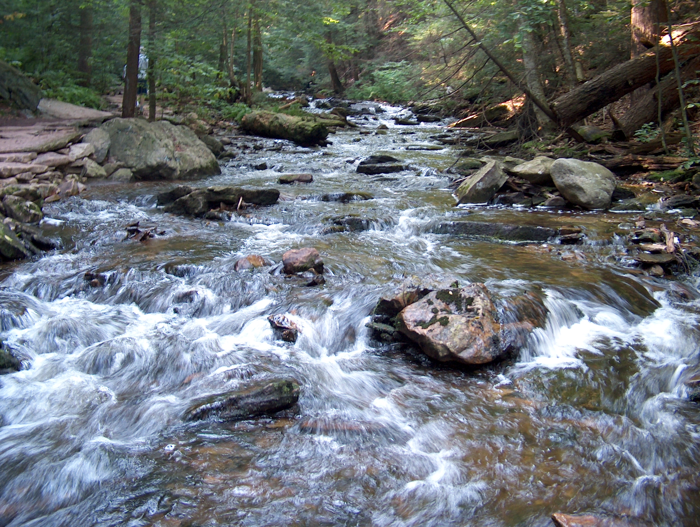 the gushing river