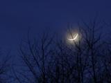 DSC02688.JPG
