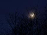 DSC02702.JPG