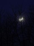 DSC02717.JPG