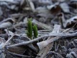 DSC02966.JPG