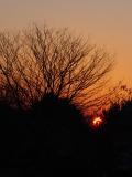 DSC02893.JPG