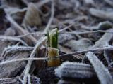 DSC02968.JPG