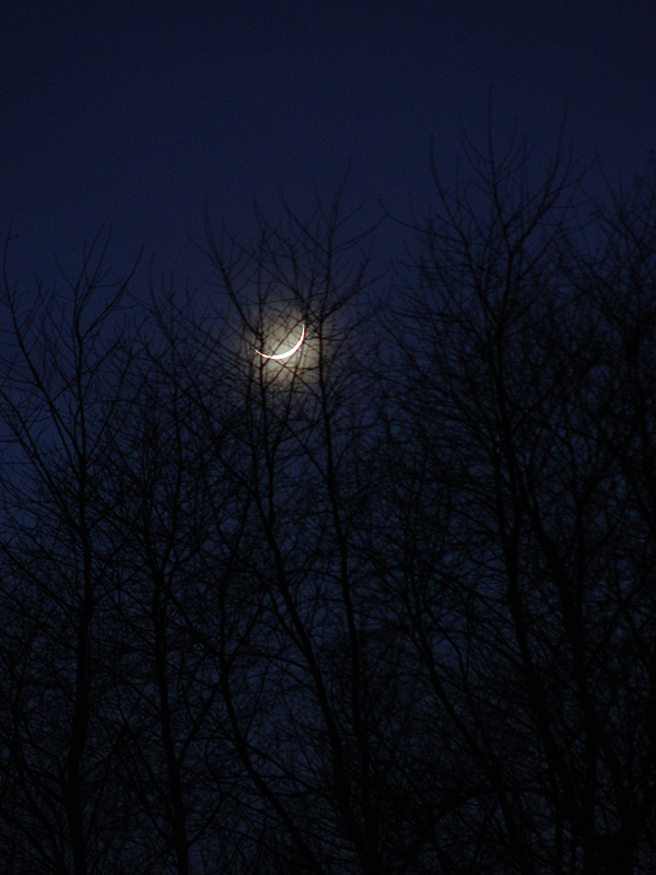 February 10, 2005<br><font size=2>Waxing Poetic</font><br>Day 280