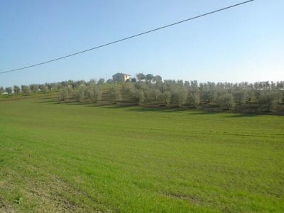09FEB05 - Scansano