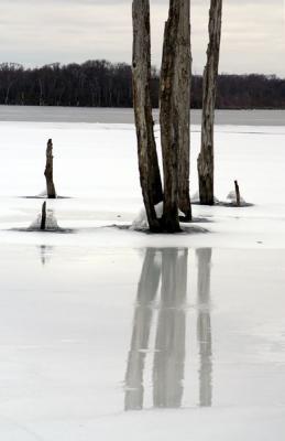 Ice Reflection