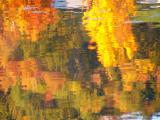 fallreflections5.jpg