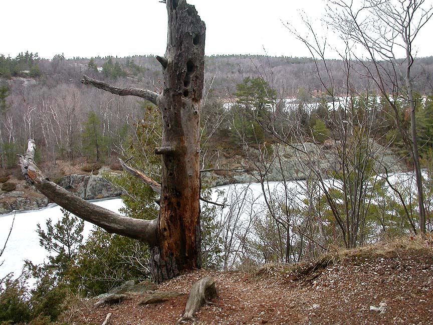 high above Slim Bay