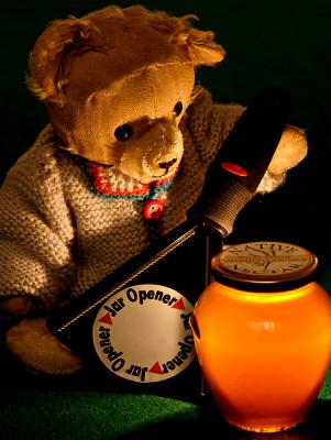 Honey Bear *by Victor Engel