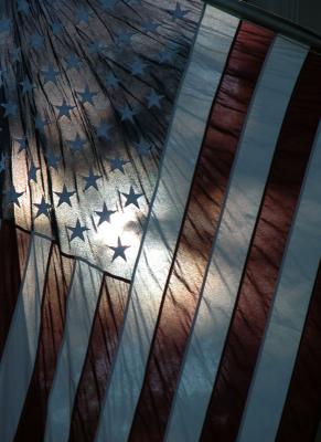 Old Glory*by Phil Johnson