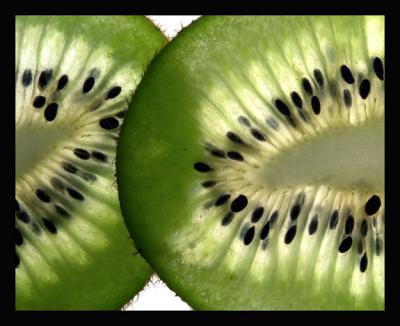 Kiwi *by Dick Tsang