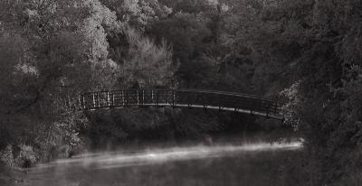 Bridge*by Tim Dahl