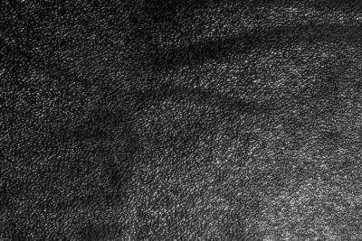Shadow, Window *