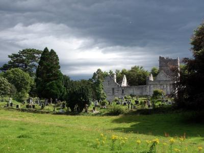 Irish Ruins* by Fred Poncelet