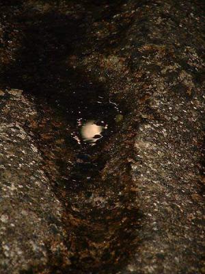 Moon Reflection *