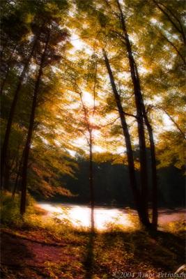 The Lake by Ashotat my grandfather's (see above) lake in New Jersey