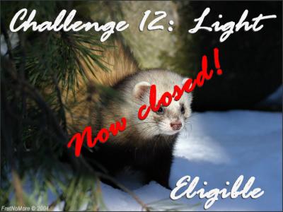 Challenge12 now closed!