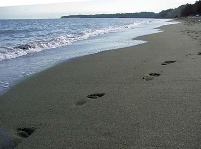 Beach Foot Steps