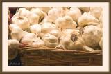 * Garlic by Lonnit Rysher