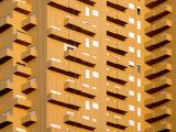 <b>Domino</b>*<br><i>PhotoKhan</i>