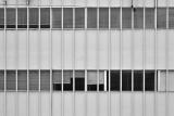 blinds by bee1000