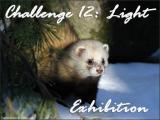 Challenge 12: Exhibition