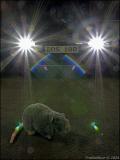 <b>Roadkill</b></br><b>*</b> <i>by FretNoMore</i>