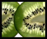 <b>Kiwi *</b><br><i>by Dick Tsang</i>