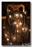 <b>Christmas Coat</b><br>* by Teapot