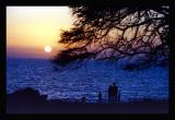 <B>Hawaii Sunset *</B> <BR><BR> <i>by Dick Tsang</i>